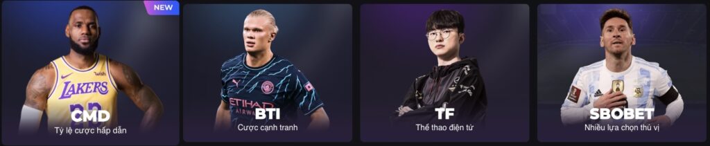 Cá cược thể thao K8bet